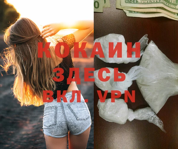 молекула духа Балахна