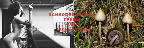 MESCALINE Баксан
