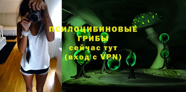 a pvp Липки