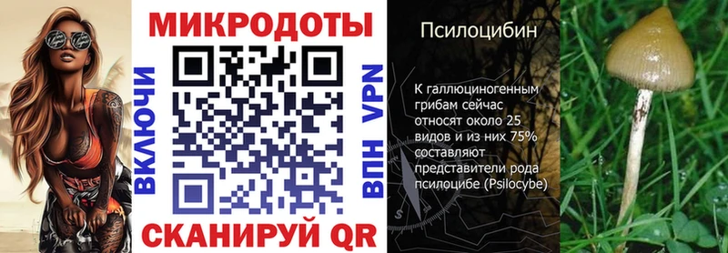 Псилоцибиновые грибы мухоморы Лагань